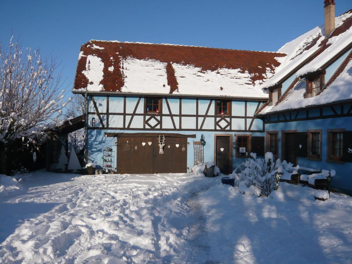 Le Gite Bleu Willgottheim Екстериор снимка